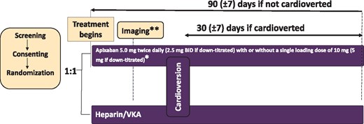 Study design. *The protocol encouraged a single loading dose of apixaban either 10 mg or 5 mg and image-guided at the discretion of the investigator, to allow more rapid transition to cardioversion. *Dosage was reduced to 2.5 mg b.i.d. or a single loading dose of 5 mg when two of the following were present: age ≥80 years, weight ≤60 kg, or serum creatinine ≥1.5 mg/dL (133 μmol/L). **Imaging guidance (transoesophageal echocardiography or computer tomography) was at the discretion of the investigator. b.i.d., twice daily; VKA, vitamin K antagonist.