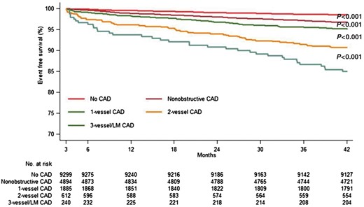 Unadjusted event-free survival from the composite endpoint according to the extent of coronary artery disease. Composite endpoint comprising late coronary revascularization, myocardial infarction, and all-cause death. Reproduced with permission from Nielsen et al.  30 CAD, coronary artery disease.