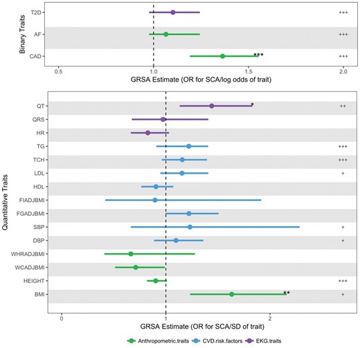 Genetic Risk Scores Association (GRSA) estimates for sudden cardiac arrest. These data points represent the exponentiated Genetic Risk Score Association estimates of 18 traits on sudden cardiac arrest (SCA) and corresponding 95% confidence interval values. The Genetic Risk Score Association estimates in the top panel for the binary traits are in log odds units. Values in bottom panel are in SD units of the quantitative traits. Genetic Risk Score Association estimates and significance are derived from SNPs associated with each trait at P < 5 × 10−8. The significance of the GRSAGWS estimates (false discovery rate adjusted P GWS) are represented as ‘*’ for P < 0.05, ‘**’ for P < 0.01, and ‘***’ for P < 0.001. The significance of the secondary analysis using GRSAmax estimates (false discovery rate adjusted permuted P max) are represented as ‘+’ for P < 0.05, ‘++’ for P < 0.01 and ‘+++’ for P < 0.001. For details on values of Genetic Risk Score Association estimates and P-values, see Supplementary material online, Tables S8 and S9. AF, atrial fibrillation; BMI, body mass index; CAD, coronary artery disease; DBP, diastolic blood pressure; FGadjBMI, fasting glucose adjusted for BMI; FIadjBMI, fasting insulin adjusted for BMI; HDL, high-density lipoproteins; HR, heart rate; LDL, low-density lipoproteins; QRS, QRS interval; QT, QT interval; SBP, systolic blood pressure; TCH, total cholesterol; TG, triglycerides; T2D, type 2 diabetes; WCadjBMI, waist circumference adjusted for BMI; WHRadBMI, waist-to-hip ratio adjusted for BMI.