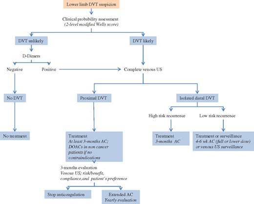 Proposed deep vein thrombosis diagnostic and management algorithm. AC, anticoagulation; DOAC, direct oral anticoagulant.