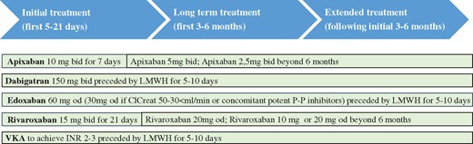Deep vein thrombosis treatment phases. ClCreat: creatinine clearance; LMWH: low molecular weight heparin; P-P inhibitors: proton pump inhibitors; VKA: vitamin K antantagonist.