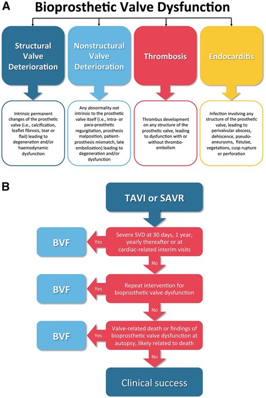 (A) Causes of bioprosthetic valve dysfunction. (B) Suggested assessment of bioprosthetic valve failure (BVF) in outcome studies of transcatheter aortic valve implantation or surgical aortic valve replacement (SAVR). SVD, structural valve deterioration. From Capodanno et al.  22
