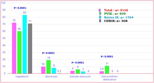 Frequency of major echocardiographic criteria observed in the overall population and three subgroups.