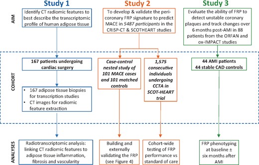 Workflow diagram. Study 1 included 167 adipose tissue biopsies from cardiac surgery patients in order to evaluate the correlation between fat biology and radiomic features. Study 2 utilized a pool of 5487 patients with coronary CT angiography who participated either in the Cardiovascular RISk Prediction using CT study or the SCOT-HEART trial, so as to develop and validate FRP, and finally to test its cohort-wide performance against the standard of care. Finally, in Study 3, we performed further external biological validation of FRP as follows: 88 patients from the Ox-IMPACT and ORFAN studies were included to test FRP’s ability to identify acute myocardial infarction-related perivascular changes and compare its ability to track longitudinal perivascular changes over a period of 6 months with that of Fat Attenuation Index. AMI, acute myocardial infarction; CAD, coronary artery disease; CRISP-CT, Cardiovascular RISk Prediction using CT study; FRP, fat radiomic profile; ORFAN, Oxford Risk Factors and Non-invasive Imaging study; Ox-IMPACT, Oxford Imaging of Perivascular Adipose tissue using Computed Tomography study; SCOT-HEART, Scottish COmputed Tomography of the HEART study.