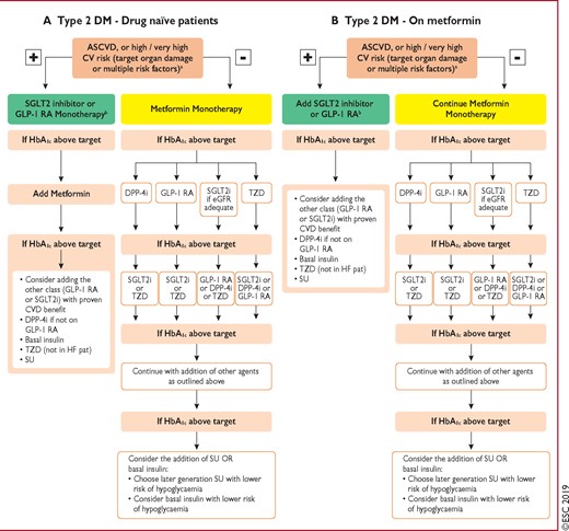 Treatment algorithm in patients with type 2 diabetes mellitus and atherosclerotic cardiovascular disease, or high/very high CV risk Treatment algorithms for (A) drug-naïve and (B) metformin-treated patients with diabetes mellitus. ASCVD = atherosclerotic cardiovascular disease: CV = cardiovascular; CVD = cardiovascular disease; DM = diabetes mellitus; DPP4i = dipeptidyl peptidase-4 inhibitor; eGFR = estimated glomerular filtration rate; GLP1-RA = glucagon-like peptide-1 receptor agonist; HbA1c = haemoglobin A1c; HF = heart failure; SGLT2i = sodium-glucose co-transporter 2 inhibitor; SU = sulphonylureas; T2DM = type 2 diabetes mellitus; TZD = thiazolidinedione. aSee Table 7. bUse drugs with proven CVD benefit.