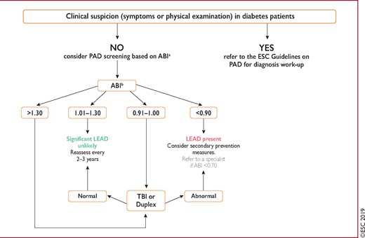 Screening for lower extremity artery disease in patients with diabetes. ABI = ankle–brachial index; DM = diabetes mellitus; ESC = European Society of Cardiology; LEAD = lower extremity artery disease; PAD = peripheral arterial disease; TBI = toe–brachial index. aABI-based screening should be performed once when DM is diagnosed, and then after 10 years of DM if the results from the initial examination were normal (can be considered after 5 years of diagnosis if other risk factors such as smoking exist). Patients should be assessed every year for symptoms and pulses should be checked. ABI-based screening is proposed in the absence of any clinical suspicion of PAD. bIn case of borderline results (e.g. 0.89), repeat the measurement and average the results to increase accuracy. If TBI is available, this can be done in conjunction with the ABI.