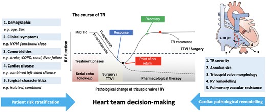 Heart team decision-making for treatment of tricuspid regurgitation. COPD, chronic obstructive pulmonary disease; NYHA, New York Heart Association; RV, right ventricle; TR, tricuspid regurgitation, TTVI, transcatheter tricuspid valve intervention (from Chang CC, Veen KM, Hahn RT, Bogers AJJC, Latib A, Oei FBS, Abdelghani M, Modolo R, Ho SY, Abdel-Wahab M, Fattouch K, Bosmans J, Caliskan K, Taramasso M, Serruys PW, Bax JJ, van Mieghem NMDA, Takkenberg JJM, Lurz P, Modine T, Soliman O. Uncertainties and challenges in surgical and transcatheter tricuspid valve therapy: a state-of-the-art expert review. See pages 1932–1940).