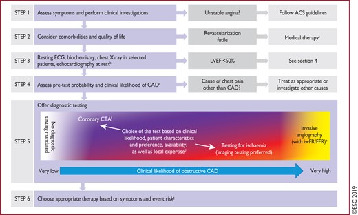 Approach for the initial diagnostic management of patients with angina and suspected coronary artery disease. ACS = acute coronary syndrome; BP = blood pressure; CAD = coronary artery disease; CTA = computed tomography angiography; ECG = electrocardiogram; FFR = fractional flow reserve; iwFR = instantaneous wave-free ratio; LVEF = left ventricular ejection fraction. aIf the diagnosis of CAD is uncertain, establishing a diagnosis using non-invasive functional imaging for myocardial ischaemia before treatment may be reasonable. bMay be omitted in very young and healthy patients with a high suspicion of an extracardiac cause of chest pain, and in multimorbid patients in whom the echocardiography result has no consequence for further patient management. cConsider exercise ECG to assess symptoms, arrhythmias, exercise tolerance, BP response, and event risk in selected patients. dAbility to exercise, individual test-related risks, and likelihood of obtaining diagnostic test result. eHigh clinical likelihood and symptoms inadequately responding to medical treatment, high event risk based on clinical evaluation (such as ST-segment depression, combined with symptoms at a low workload or systolic dysfunction indicating CAD), or uncertain diagnosis on non-invasive testing. fFunctional imaging for myocardial ischaemia if coronary CTA has shown CAD of uncertain grade or is non-diagnostic. gConsider also angina without obstructive disease in the epicardial coronary arteries (see section 6).