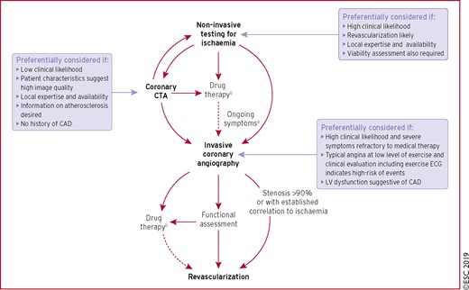 Main diagnostic pathways in symptomatic patients with suspected obstructive coronary artery disease. Depending on clinical conditions and the healthcare environment, patient workup can start with either of three options: non-invasive testing, coronary computed tomography angiography, or invasive coronary angiography. Through each pathway, both functional and anatomical information is gathered to inform an appropriate diagnostic and therapeutic strategy. Risk-factor modification should be considered in all patients. CAD = coronary artery disease; CTA = computed tomography angiography; ECG = electrocardiogram; LV = left ventricular. aConsider microvascular angina. bAntianginal medications and/or risk-factor modification.
