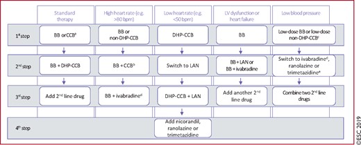Suggested stepwise strategy for long term anti-ischaemic drug therapy in patients with chronic coronary syndromes and specific baseline characteristics. The proposed stepwise approach must be adapted to each patient's characteristics and preferences. Given the limited evidence on various combinations of drugs in different clinical conditions, the proposed options are only indicative of potential combinations and do not represent formal recommendations. BB = beta-blocker; bpm = beats per minute; CCB = [any class of] calcium channel blocker; DHP-CCB = dihydropyridine calcium channel blocker; HF = heart failure; LAN = long-acting nitrate; LV = left ventricular; non-DHP-CCB = non-dihydropyridine calcium channel blocker. aCombination of a BB with a DHP-CCB should be considered as first step; combination of a BB or a CCB with a second-line drug may be considered as a first step; bThe combination of a BB and non-DHP-CCB should initially use low doses of each drug under close monitoring of tolerance, particularly heart rate and blood pressure; cLow-dose BB or low-dose non-DHP-CCB should be used under close monitoring of tolerance, particularly heart rate and blood pressure; dIvabradine should not be combined with non-DHP-CCB; eConsider adding the drug chosen at step 2 to the drug tested at step 1 if blood pressure remains unchanged.