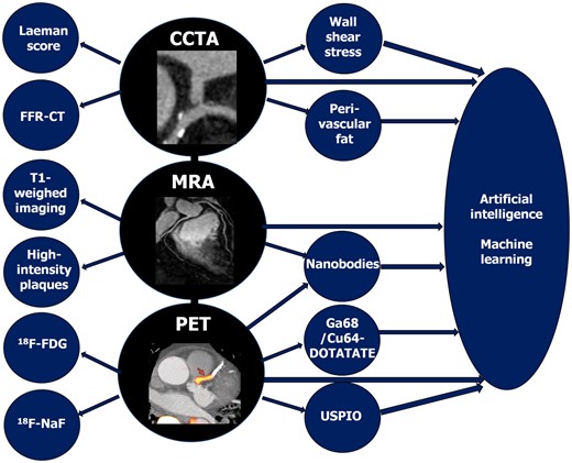 Schematic summary of advances in non-invasive imaging of coronary plaque. CCTA, coronary computed tomography angiography; FFR, fractional flow reserve; 18F-FDG, 18F-fluorodeoxyglucose; 18F-NaF, 18F-sodium fluoride; MRA, magnetic resonance angiography; PET, positron emission tomography; USPIO, ultrasmall superparamagnetic iron oxide. Photography adapted from Joshi et al. 20 and Chiribiri et al. 21