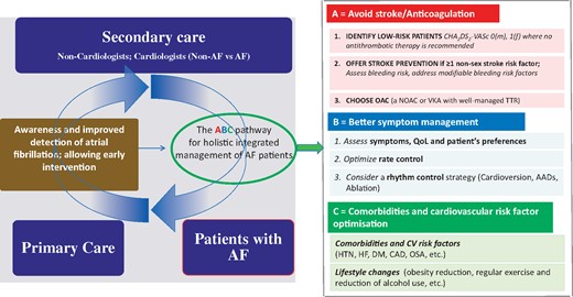 Managing atrial fibrillation—Easy as ABC (from Camm AJ, Lip GYH, Schilling R, Calkins H, Steffel J. The year in cardiology: arrhythmias and pacing. See pages 619–625).
