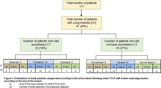 Lung nodule surveillance following CTCA