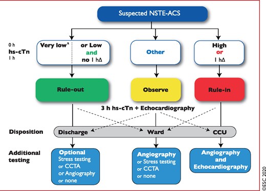 0 h/1 h rule-out and rule-in algorithm using high-sensitivity cardiac troponin assays in haemodynamically stable patients presenting with suspected non-ST-segment elevation acute coronary syndrome to the emergency department. 0 h and 1 h refer to the time from first blood test. NSTEMI can be ruled out at presentation if the hs-cTn concentration is very low. NSTEMI can also be ruled out by the combination of low baseline levels and the lack of a relevant increase within 1 h (no 1hΔ). Patients have a high likelihood of NSTEMI if the hs-cTn concentration at presentation is at least moderately elevated or hs-cTn concentrations show a clear rise within the first hour (1hΔ).1,6–8,10–13,29–31,33 Cut-offs are assay specific (see Table 3) and derived to meet predefined criteria for sensitivity and specificity for NSTEMI. CCU = coronary care unit; CCTA = coronary computed tomography angiography; CPO = chest pain onset; hs-cTn = high-sensitivity cardiac troponin; NSTE-ACS = non-ST-segment elevation acute coronary syndrome; NSTEMI = non-ST-segment elevation myocardial infarction. aOnly applicable if CPO >3 h. Listen to the audio guide of this figure online.
