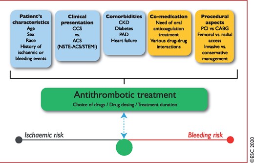Determinants of antithrombotic treatment in coronary artery disease. Intrinsic (in blue: patient's characteristics, clinical presentation & comorbidities) and extrinsic (in yellow: co-medication & procedural aspects) variables influencing the choice, dosing, and duration of antithrombotic treatment. ACS = acute coronary syndromes; CABG = coronary artery bypass graft(ing); CCS = chronic coronary syndromes; CKD = chronic kidney disease; NSTE-ACS = non-ST-segment elevation acute coronary syndrome; PAD = peripheral artery disease; PCI = percutaneous coronary intervention; STEMI = ST-segment elevation myocardial infarction.