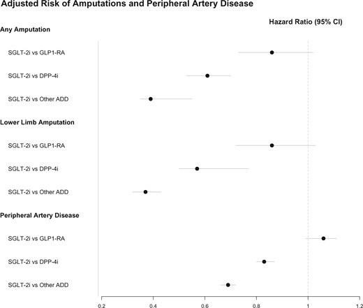 Adjusted risk of amputations and peripheral artery disease (from Paul SK, Bhatt DL, Montvida O. The association of amputations and peripheral artery disease in patients with type 2 diabetes mellitus receiving sodium–glucose co-transporter type-2 inhibitors: real-world study. See pages 1728–1738).