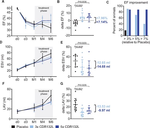 Functional improvement in a large animal model of chronic HF. (A) Left ventricular ejection fraction over time for different treatment regimens with CDR132L. (B) Functional improvement indicated by ejection fraction change from month 1 to month 6 (delta ejection fraction; in absolute per cent points). (C) Responder analysis for different treatment regimens (values presented are corrected with the ejection fraction change in the placebo group). (D) End-systolic volume over time. (E) Changes in end-systolic volume from month 1 to month 6 (delta end-systolic volume). (F) Left atrial volume over time. (G) Changes in left atrial volume from month 1 to month 6 (delta left atrial volume). Data are mean ± SD; P-values: two-tailed Mann–Whitney U test (Placebo vs. treatment regimen). EF, ejection fraction; ESV, end-systolic volume; LAV, left atrial volume; LV, left ventricular.
