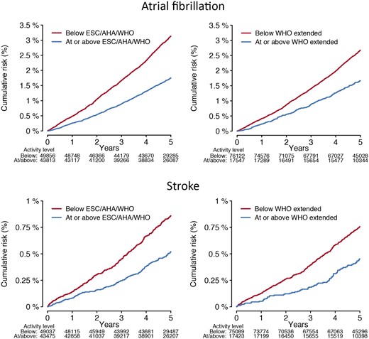 Cumulative risks of atrial fibrillation and stroke stratified by adherence to physical activity recommendations. Depicted is the cumulative risk of atrial fibrillation (upper panels) and stroke (lower panels) stratified by accelerometer-derived physical activity levels meeting European Society of Cardiology,14 American Heart Association,13 and World Health Organization standard thresholds (≥150 min of moderate-to-vigorous physical activity per week, left panels),12 and the World Health Organization threshold for additional health benefits (≥300 min of moderate-to-vigorous physical activity per week, right panels).12