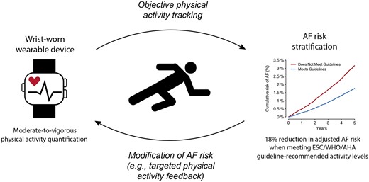 Wrist-worn accelerometer-derived moderate-to-vigorous physical activity levels meeting standard guideline recommendations is associated with lower risk of incident atrial fibrillation after adjustment for clinical risk factors. Wearable sensors may enable both objective assessment of physical activity and modification of AF risk through targeted feedback.
