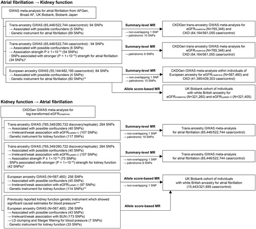 Flow diagram of the performed analysis and construction of the genetic instruments. *The analyses were performed out of concern for the issue of overlapping samples. **The analyses were performed out of concern for the effects from multiethnicity. ***The analysis was performed out of concern for a false-negative bias, and a previously reported genetic instrument that showed significant causal estimates for blood pressure was utilized. GWAS, genome-wide association study; MR, Mendelian randomization; SNP, single-nucleotide polymorphism.