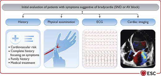 Initial evaluation of patients with symptoms suggestive of bradycardia. AVB = atrioventricular block; ECG = electrocardiogram; SND = sinus node dysfunction.