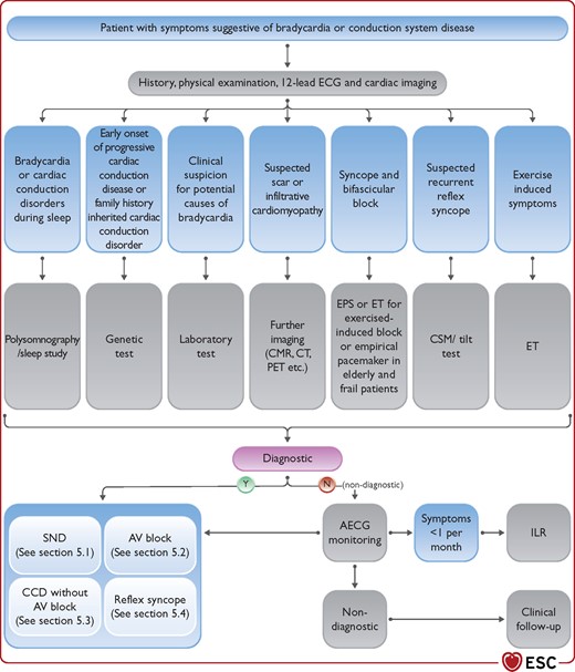Evaluation of bradycardia and conduction disease algorithm. AECG = ambulatory electrocardiographic monitoring; AV = atrioventricular; CCD = cardiac conduction disease (or disorder); CMR = cardiovascular magnetic resonance; CSM = carotid sinus massage; CT = computed tomography; ECG = electrocardiogram; EPS = electrophysiology study; ET = exercise test; ILR = implantable loop recorder; PET = positron emission tomography; SND = sinus node dysfunction.