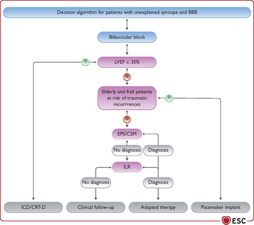 Decision algorithm for patients with unexplained syncope and bundle branch block. BBB = bundle branch block; CRT-D = defibrillator with cardiac resynchronization therapy; CSM = carotid sinus massage; EPS = electrophysiology study; ICD = implantable cardioverter-defibrillator; ILR = implantable loop recorder; LVEF = left ventricular ejection fraction.