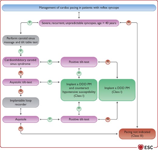 Decision pathway for cardiac pacing in patients with reflex syncope. DDD = dual-chamber, atrioventricular pacing. Note: cardioinhibitory carotid sinus syndrome is defined when the spontaneous syncope is reproduced by the carotid sinus massage in the presence of an asystolic pause >3 s; asystolic tilt positive test is defined when the spontaneous syncope is reproduced in the presence of an asystolic pause >3 s. A symptomatic asystolic pause(s) >3 s or asymptomatic pause(s) >6 s due to sinus arrest, atrioventricular block, or the combination of the two similarly define asystole detected by implantable loop recorder. Figure adapted from Brignole et al.62