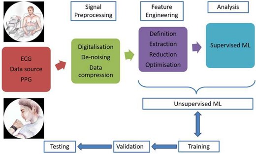 Schematic representation of steps involved in cardiac impulse analysis from the data acquisition to analysis by machine learning algorithm. ECG, electrocardiogram; ML, machine learning; PPG, photo plethysmography.