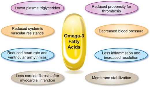 Schematic depicting biological effects of omega-3 fatty acids expected to favorably impact atherosclerotic cardiovascular disease outcomes.