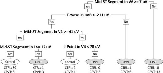 Figure 1. CPVT Tree Model