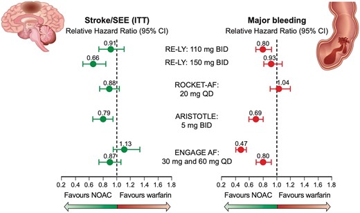 Novel oral anticoagulants compared to vitamin K antagonists in patients with atrial fibrillation. CI, confidence interval; SEE, systemic embolic event (Modified with data from ref.38, N Engl J Med 2011;365:883–891, N Engl J Med 2011;365:981–992 and N Engl J Med 2013; 369:2093–2104).