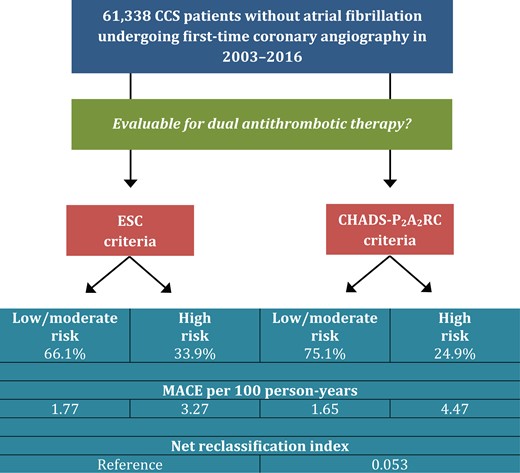 Risk stratification strategies to guide extended dual antithrombotic therapy. Use of the CHADS-P2A2RC score instead of the European Society of Cardiology (ESC) criteria improved overall risk classification. The CHADS-P2A2RC score enabled downward risk reclassification of 8% of the total population without major adverse cardiovascular events (MACE), yielding an overall net reclassification index of 0.053 (P < 0.0001).23