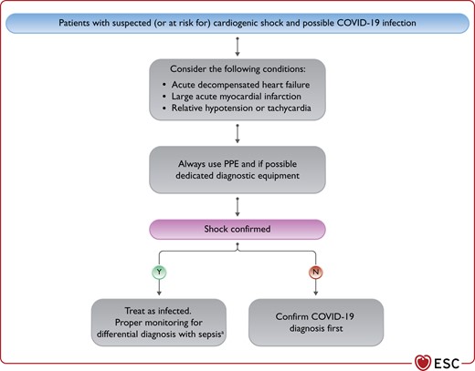 Considerations in patients with suspected (or at risk for) cardiogenic shock and possible COVID-19 infection. COVID-19, coronavirus disease 2019; HF, heart failure; MI, myocardial infarction; PPE, personal protective equipment. aConsider also myocarditis as potential cause.