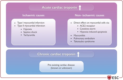 Potential mechanisms underlying elevations in cardiac troponin and myocardial injury in patients with COVID-19. ACE2, angiotensin-converting enzyme 2; ↑, elevation.