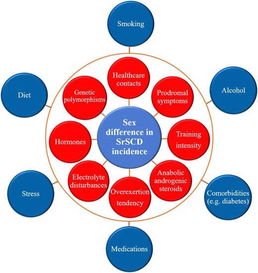 A multiple hit model for sports-related sudden cardiac death in women. SCD, sudden cardiac death; SrSCD, sports-related sudden cardiac death. The outermost blue factors are relevant for the sex difference in SCD incidence in the general population as well as SrSCD, whereas the red factors may specifically impact the sex difference in SrSCD.
