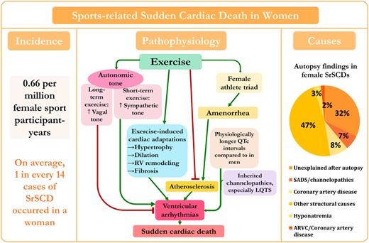 Diagram of incidence, pathophysiology, and causes of sports-related sudden cardiac death in women. The pie chart shows causes of 59 sports-related sudden cardiac deaths in women based on reported data from different studies.7–9 , 23 , 24 , 26 , 27 , 29 , 38 SADS, sudden arrhythmic death syndrome; RV, right ventricular; LQTS, long QT syndrome; ARVC, arrhythmogenic right ventricular cardiomyopathy. ‡The primary autopsy finding and stated cause of death in one of the hyponatraemia cases was hyponatraemia, yet additional clinical and autopsy data also showed the presence of myxomatous polyvalvular (mitral, tricuspid, aortic) heart disease.