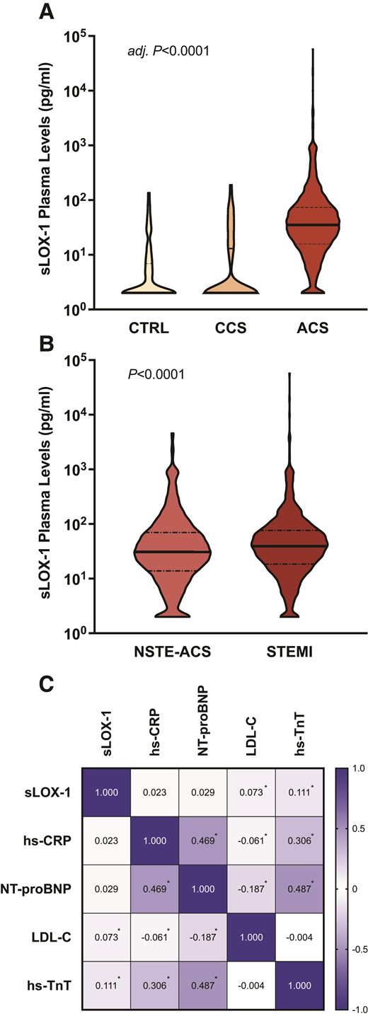 Soluble LOX-1 at baseline and its interplay with established biomarkers. (A) Violin plot showing the distribution of soluble LOX-1 plasma levels in acute coronary syndrome patients compared with sex- and age-matched control subjects (CTRL) and patients with chronic coronary syndrome. (B) Plasma soluble LOX-1 levels in patients with NSTE-ACS vs. STEMI are plotted. (C) The correlation matrix of plasma soluble LOX-1 with biomarkers reflecting systemic inflammation, myocardial stress, and dyslipidaemias. The respective P-values for between-group comparisons are shown, with the family-wise error rate being controlled by the Bonferroni method. Bold lines indicate the median, and dashed lines the inter-quartile range. Spearman's ρ is shown within each rectangle, with colour intensity indicating the strength of association. *P < 0.05. ACS, acute coronary syndrome; CCS, chronic coronary syndrome; CTRL, healthy controls; NSTE-ACS, non-ST-segment elevation ACS; sLOX-1, soluble lectin-like oxidized low-density lipoprotein receptor-1; STEMI, ST-segment elevation myocardial infarction.