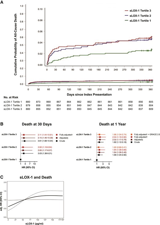 Associations of soluble LOX-1 with mortality from any cause. (A) Nelson–Aalen estimates and the risk for death from any cause stratified by soluble LOX-1 tertiles. Censored observations are indicated as tick marks. Log-rank P = 0.0456. (B) Crude, adjusted, and fully adjusted ratio of the hazard rates for all-cause mortality at 30 days (left) and 1 year (right) with models being controlled for established risk factors in a step-wise manner. §Adjusted for sex, age, acute coronary syndrome type, high-sensitivity C-reactive protein, history of hypercholesterolaemia, estimated glomerular filtration rate, LDL-C, and diagnosis of diabetes. †Adjusted for sex, age, acute coronary syndrome type, high-sensitivity C-reactive protein, history of hypercholesterolaemia, estimated glomerular filtration rate, LDL-C, diagnosis of diabetes, N-terminal prohormone of brain natriuretic peptide, and high-sensitivity cardiac troponin T. The fully adjusted model predicting 1-year death was additionally controlled for 1-year mortality risk estimated by GRACE 2.0, as indicated. Squares represent hazard ratios with line lengths corresponding to 95% confidence intervals (calculated under resampling). (C) Fully adjusted hazard ratio of all-cause death according to soluble LOX-1 levels with the reference set at the third tertile. Dotted lines indicate the corresponding 95% confidence interval. CI, confidence interval; eGFR, estimated glomerular filtration rate; hs-CRP, high-sensitivity C-reactive protein; HR, hazard ratio; hs-TnT, high-sensitivity cardiac troponin T; LDL-C, low-density lipoprotein cholesterol; NT-proBNP, N-terminal prohormone of brain natriuretic peptide; sLOX-1, soluble lectin-like oxidized low-density lipoprotein receptor-1.