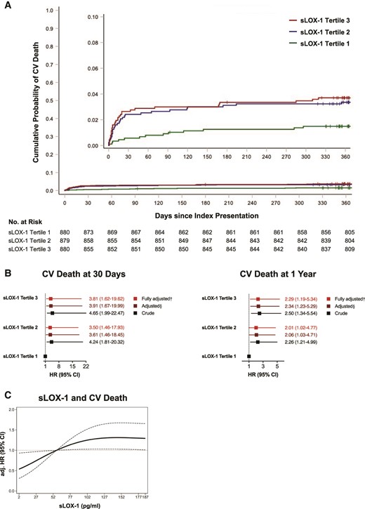 Relationship of soluble LOX-1 with cardiovascular mortality. (A) Nelson–Aalen curves and risk of cardiovascular deaths ranked by soluble LOX-1 tertiles. Note that tick marks indicate censored observations. Log-rank P = 0.0126. (B) Crude and adjusted hazard ratio for cardiovascular death at 30 days (left) and at 1 year (right). The Cox proportional hazard regression models were controlled for established risk factors in a step-wise fashion: §adjusted for sex, age, acute coronary syndrome type, high-sensitivity C-reactive protein, history of hypercholesterolaemia, estimated glomerular filtration rate, LDL-C, and diagnosis of diabetes; †adjusted for sex, age, acute coronary syndrome type, high-sensitivity C-reactive protein, history of hypercholesterolaemia, estimated glomerular filtration rate, LDL-C, diagnosis of diabetes, N-terminal prohormone of brain natriuretic peptide, and high-sensitivity cardiac troponin T. Line lengths equal corresponding 95% confidence interval with squares indicating the hazard ratio (calculated under resampling). (C) Dose–response curve showing fully adjusted hazard ratio for death from cardiovascular causes according to soluble LOX-1 levels, with dotted lines indicating the corresponding 95% confidence interval (reference set at the third tertile). CI, confidence interval; CV, cardiovascular; eGFR, estimated glomerular filtration rate; HR, hazard ratio; hs-CRP, high-sensitivity C-reactive protein; hs-TnT, high-sensitivity cardiac troponin T; LDL-C, low-density lipoprotein cholesterol; NT-proBNP, N-terminal prohormone of brain natriuretic peptide; sLOX-1, soluble lectin-like oxidized low-density lipoprotein receptor-1.