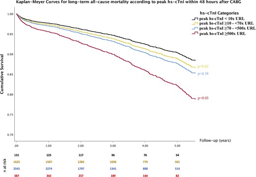 Kaplan–Meier survival curves according to peak high-sensitivity cardiac troponin I levels within 48 h after surgery. Kaplan–Meier curves from in multivariable Cox regression analysis (P-values were adjusted for: age, EuroSCORE II, diabetes, peripheral arterial disease, and left ventricular ejection fraction at discharge).