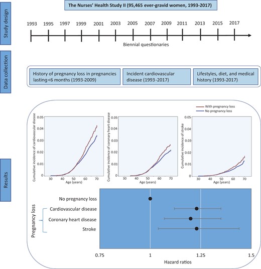 Pregnancy loss was associated with a greater risk of cardiovascular disease, including coronary heart disease and stroke