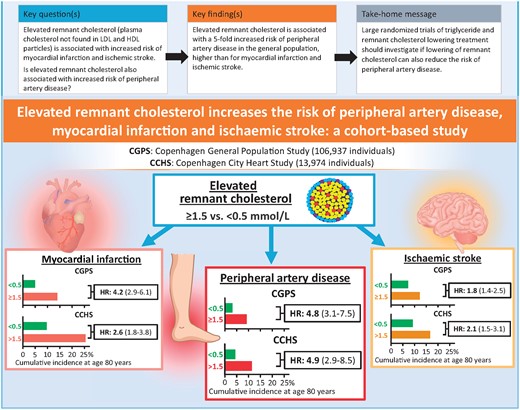 Comparison of risk of peripheral artery disease, myocardial infarction, and ischaemic stroke as a function of elevated remnant cholesterol in two studies of the Danish general population. HR, hazard ratio (95% confidence interval) after multivariable adjustment.23