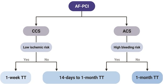 Proposed algorithm for tailoring the duration of triple antithrombotic therapy among atrial fibrillation patients undergoing percutaneous coronary intervention according to clinical setting. Abbreviations: AF, atrial fibrillation; PCI, percutaneous coronary intervention; CCS, chronic coronary syndrome; ACS, acute coronary syndrome; TT, triple therapy.