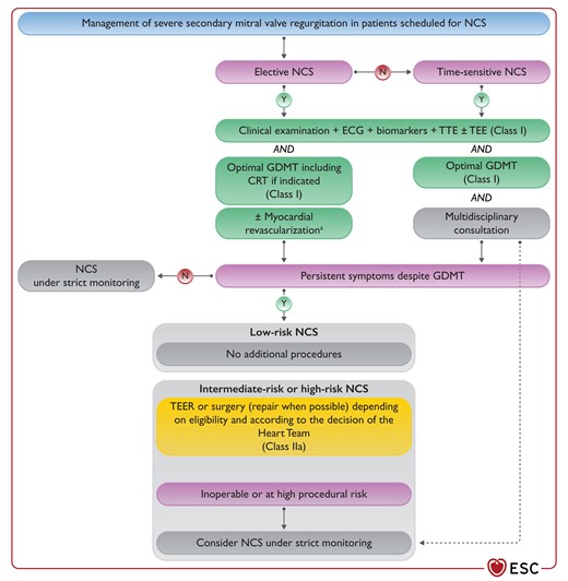 Management of patients with secondary mitral valve regurgitation scheduled for non-cardiac surgery.