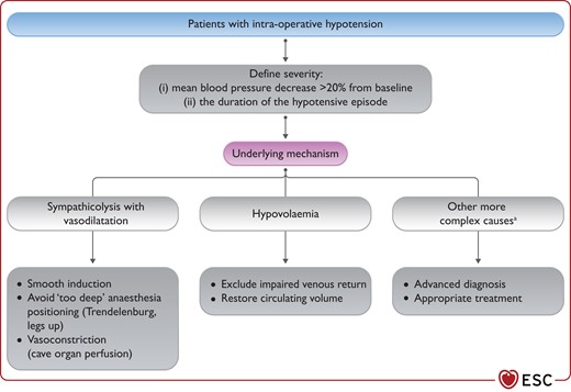 Pathophysiological approach to address intra-operative hypotension.