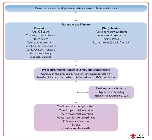 Factors associated with peri-operative cardiovascular complications. SNS, sympathetic nervous system.