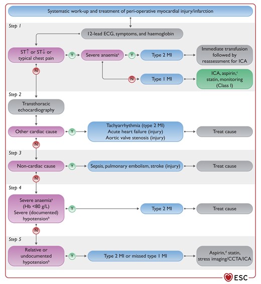 Systematic work-up (aetiology) and therapy of peri-operative myocardial infarction/injury.