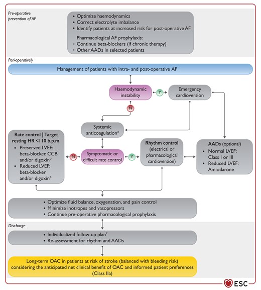Prevention and management of post-operative atrial fibrillation.