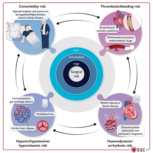 Central illustration: the complex interplay between the intrinsic risk of surgery and the patient risk of peri-operative cardiovascular complications.